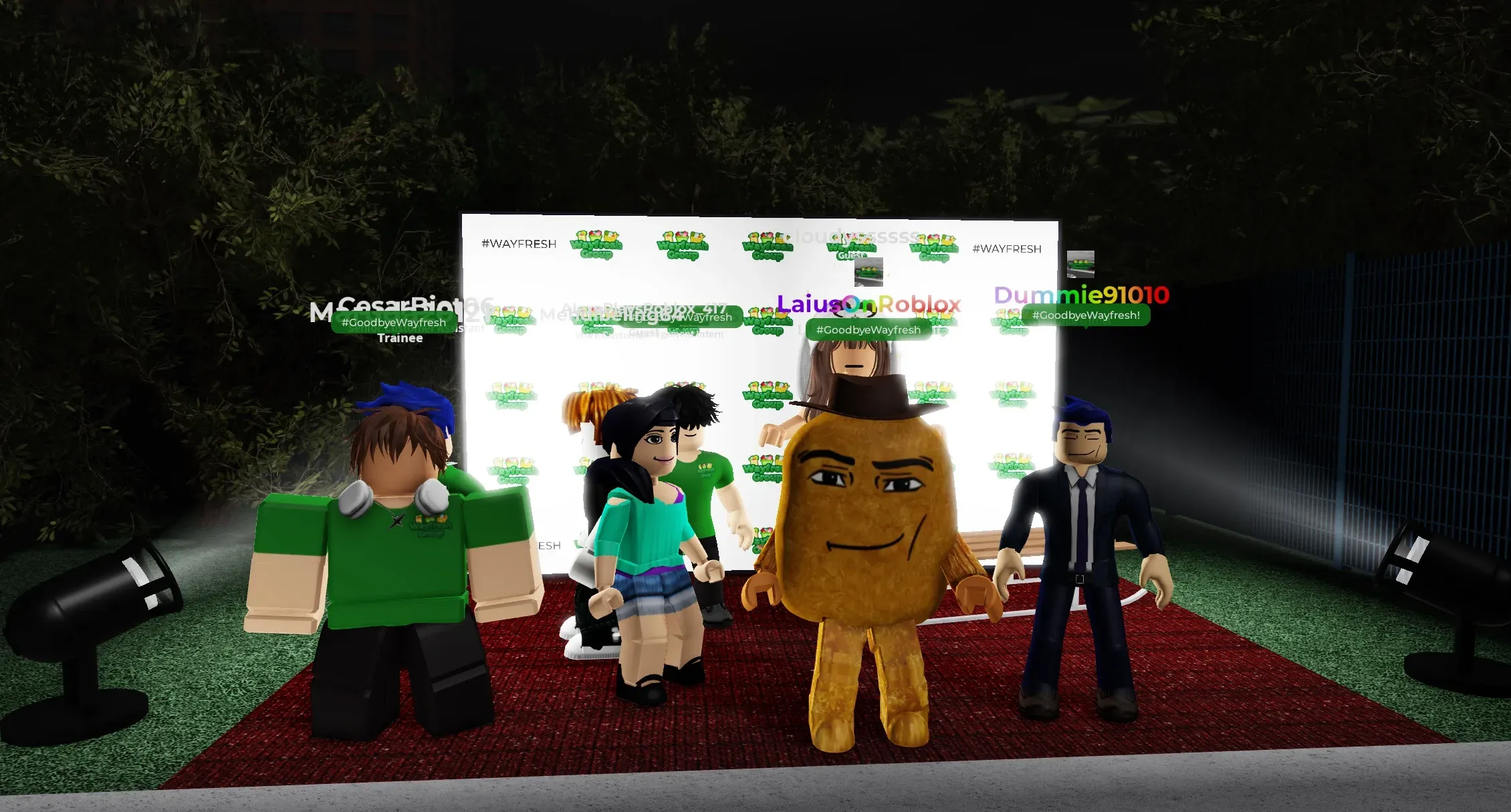 The Wayfresh photo wall