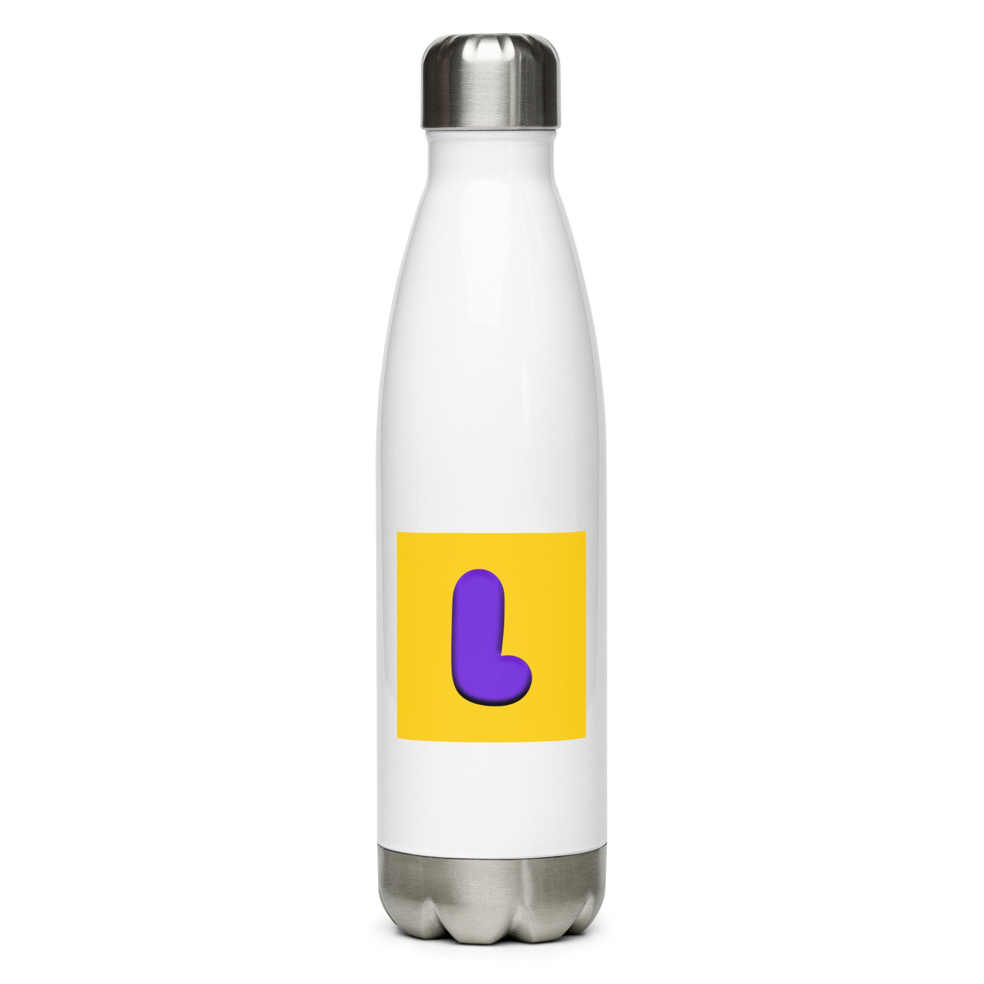 Stainless Steel Water Bottle